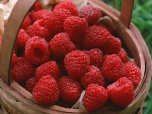 覆盆子对感冒有帮助吗？食谱是什么？