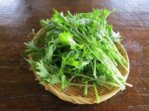 日本白菜“水菜”：如何種植和種植？