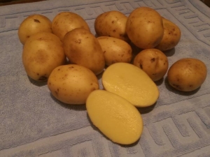 马铃薯品种的表征和栽培 Sonok