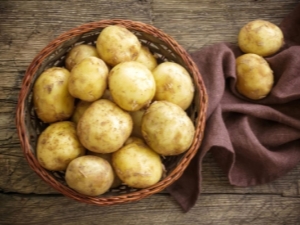 Potato Sante：栽培的特点和微妙之处 