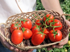 Tomato Benito F1：品种的特征和描述