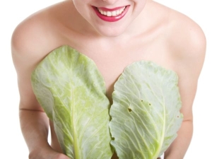 如何使用卷心菜叶治疗乳滞和乳腺病？