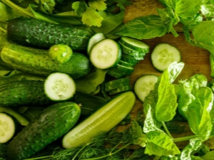 Cucumbers Prestige：品种描述、种植和护理