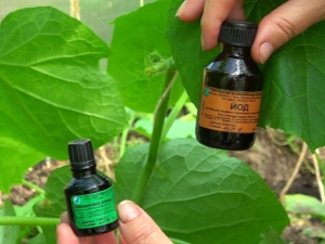 碘在黄瓜上的用途 