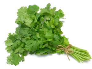 你在哪里可以添加新鲜的香菜？