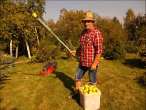 苹果水果采摘器：选择的类型和提示 