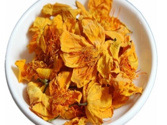 金莲花花茶