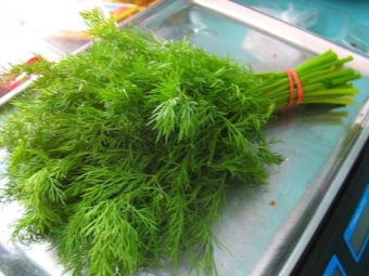 市场上的新鲜莳萝