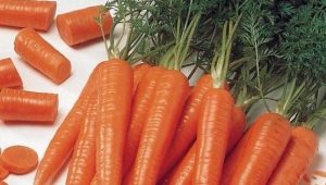 胡萝卜：卡路里、有用的特性和食谱