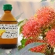 来自乳头状瘤的蓖麻油：特性和使用规则 