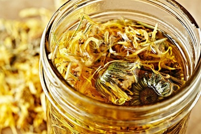 橄榄油金盏花